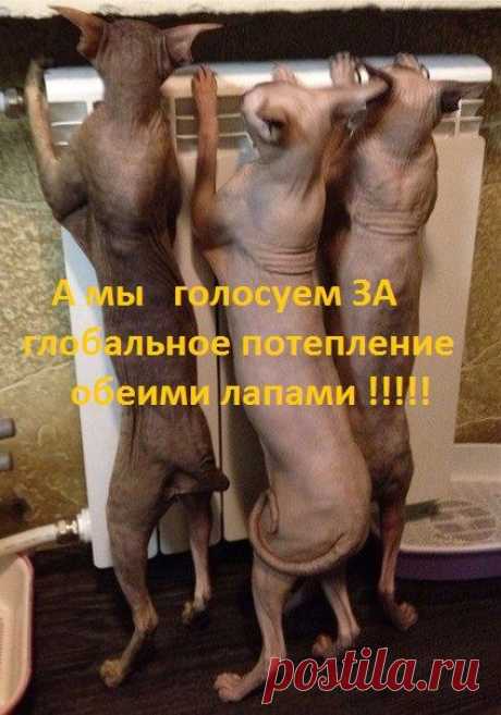 Вот оно - ГЛОБАЛЬНОЕ ПОТЕПЛЕНИЕ в квартирах