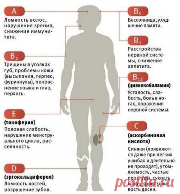 Каких именно витаминов не хватает вашему организму