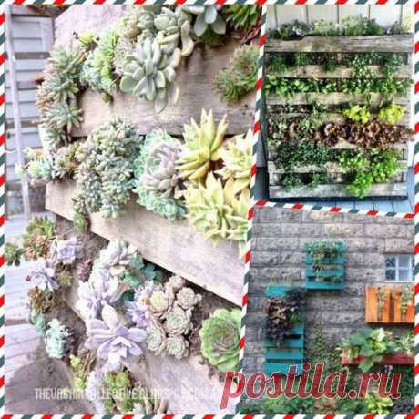 (8) Pinterest
