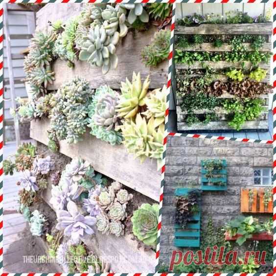(8) Pinterest