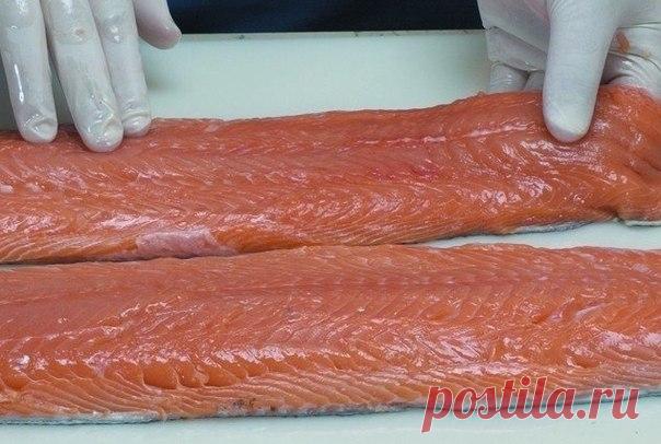 Как разделать лосося и отделить филе от кости - рецепт, ингридиенты и фотографии