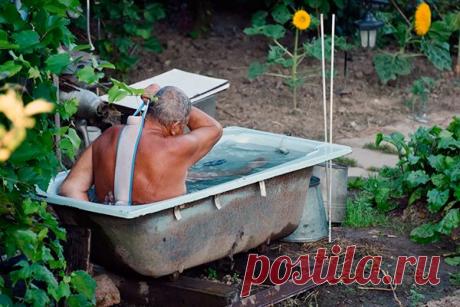 Как «дачный» закон повлияет на жизнь российских садоводов | Выживи сам