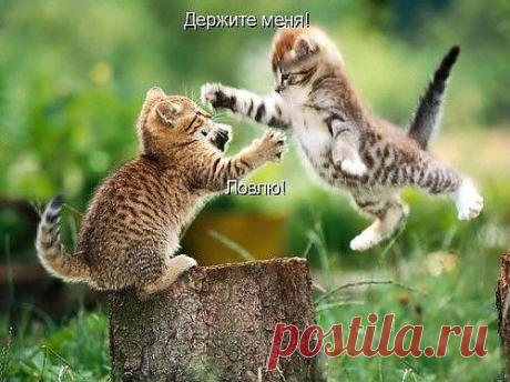 Без слов!=)))).....Лишь бы пенёк не подвёл...=))