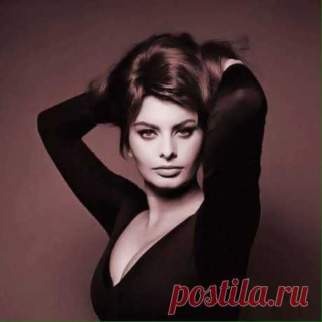 Софи Лорен на фотографиях