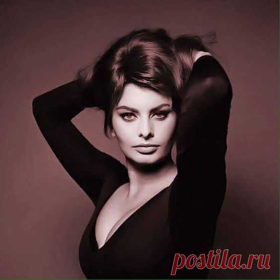Софи Лорен на фотографиях