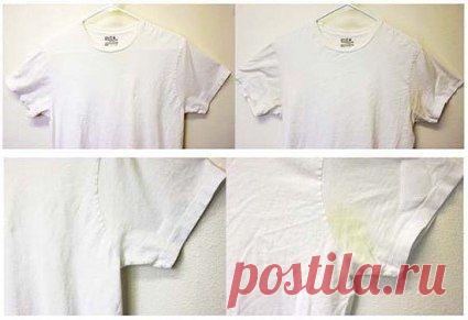 Умные Советы и Мысли