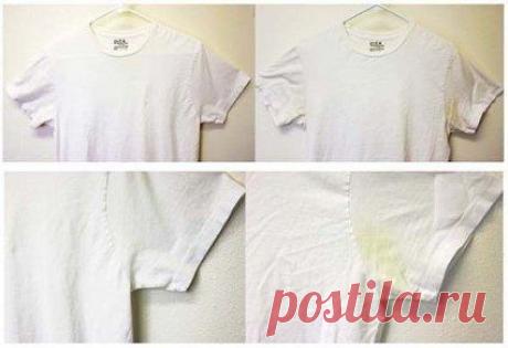 Умные Советы и Мысли