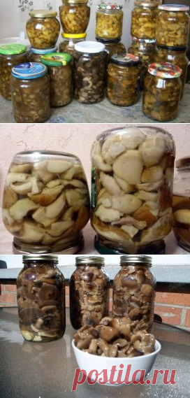 (2) Одноклассники     10 ВКУСНЕЙШИХ и НЕЖНЕЙШИХ заготовок из ГРИБОВ на зиму.
1. Засолка грибов - холодный способ.