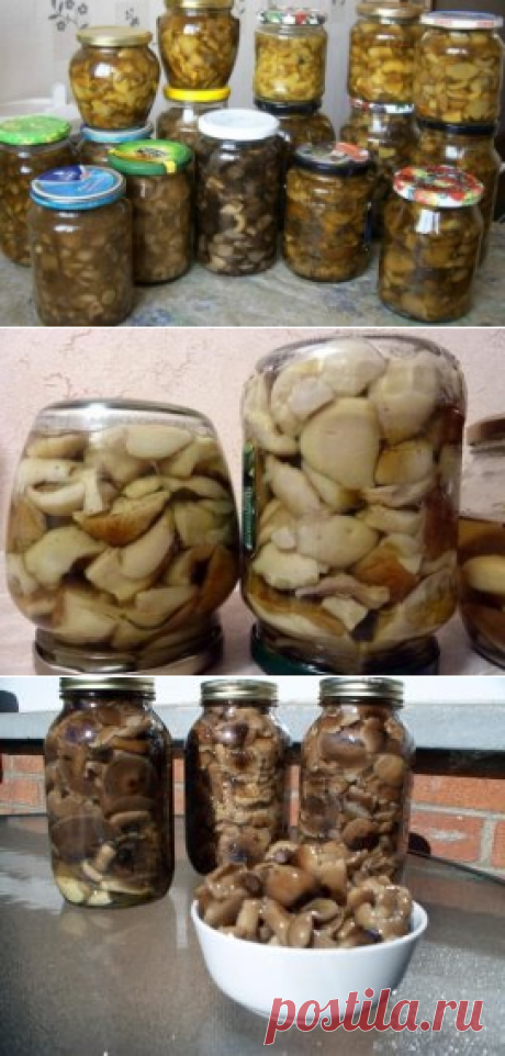 (2) Одноклассники     10 ВКУСНЕЙШИХ и НЕЖНЕЙШИХ заготовок из ГРИБОВ на зиму.
1. Засолка грибов - холодный способ.