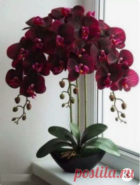 (836) Pinterest