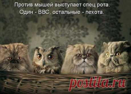 Новости