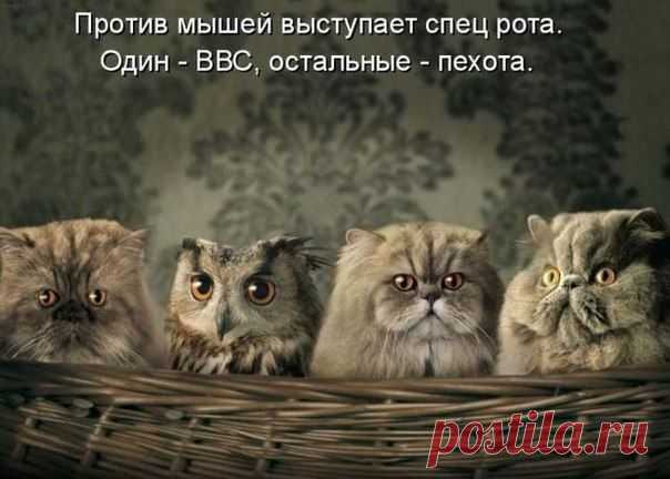 Новости