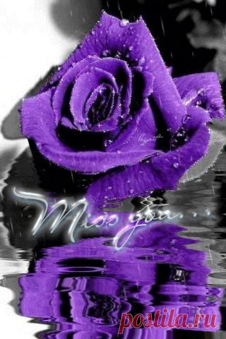 Плейкаст «**ДЛЯ ВАС --СИНИЕ ЦВЕТЫ !!**»