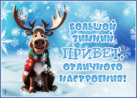 Большой зимний привет!