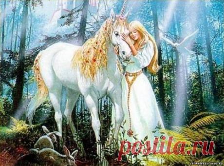 Голделия - единорог » Сайт о лошадях KoHuKu.ru