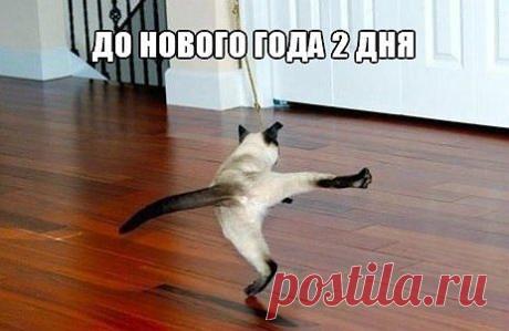 Успеть бы...