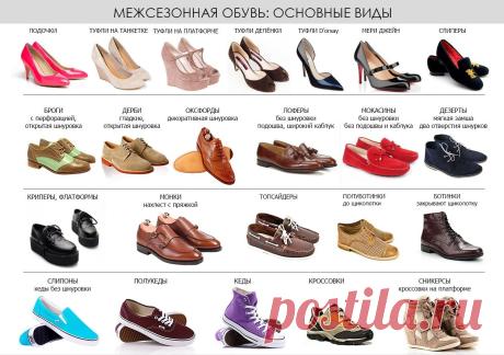 Арина Широкова