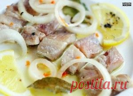Сельдь по-голландски