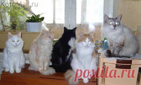 Лечащий персонал