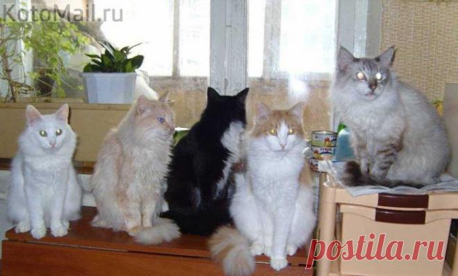 Лечащий персонал