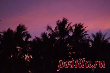 День 55. Пляж, рынок и безымянный город