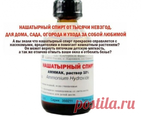 (7) Одноклассники