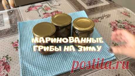 Маринованные грибы на зиму Рецепт проверен годами Готовлю ни один год Самые вкусные грибы | Татьяна Волга | Дзен