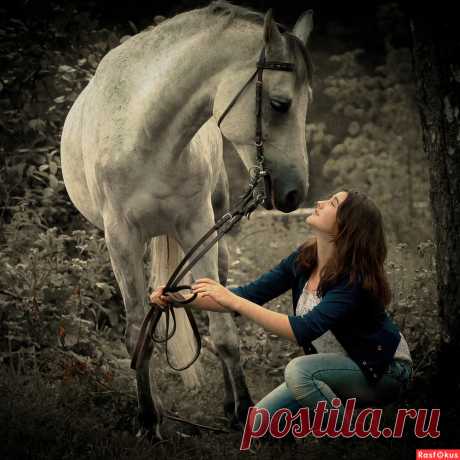 Фотограф Oleg S. Фотопортрет - Фотосайт Расфокус.ру