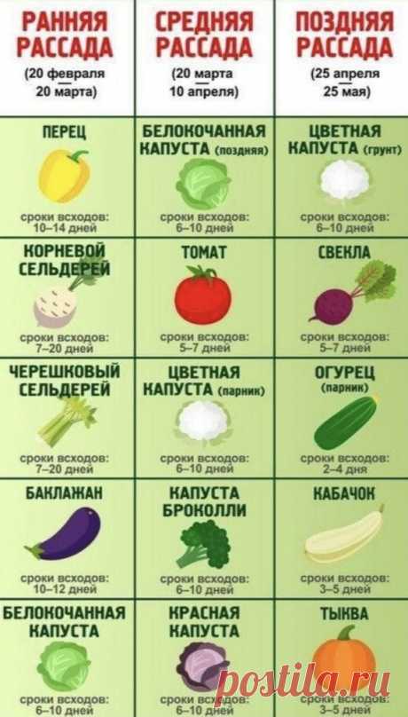 0iE5RIUzWQI.jpg (576×1012)