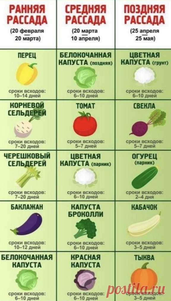0iE5RIUzWQI.jpg (576×1012)