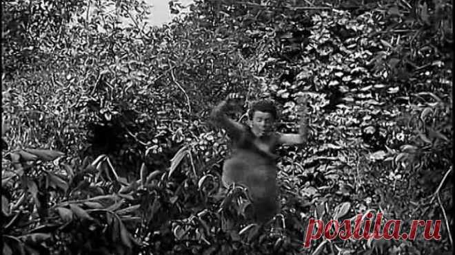 Ночные красавицы (1952 год. Комедия)