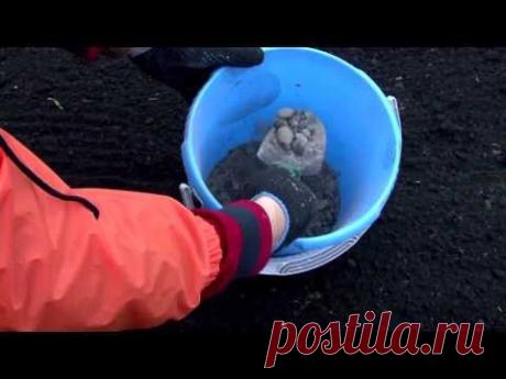 Древесная зола. Заготовка и польза. Часть 2. - YouTube