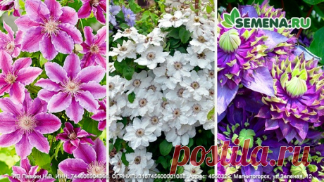 Мой Мир@Mail.Ru