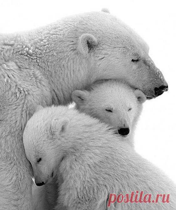 (2939) Pinterest