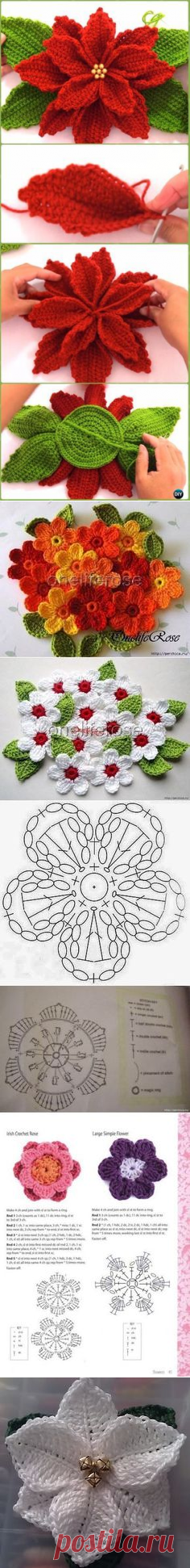 (421) Pinterest
