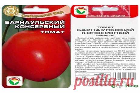 Непасынкующиеся томаты - низкорослые сорта помидоров для открытого грунта без пасынкования