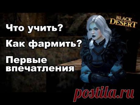 НОВА: Скилы, фарм и первые впечатления - НЕ гайд в BDO - Black Desert (MMORPG)
