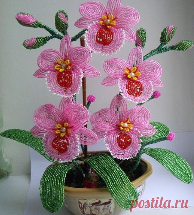 (68) Одноклассники