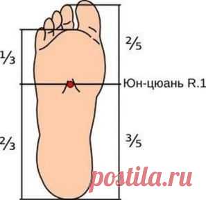 Рефлексология