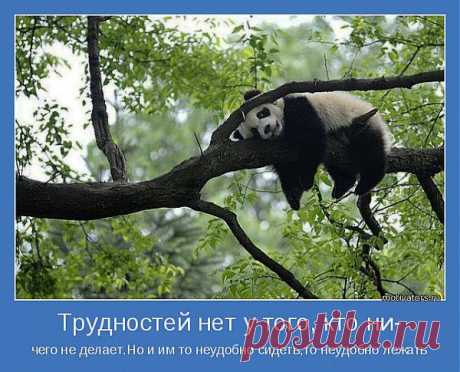 мысли...