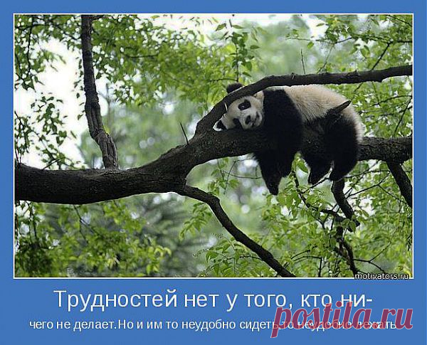 мысли...