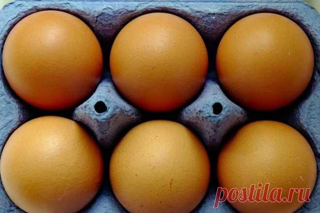 8 лайфхаков для продления срока хранения продуктов