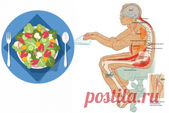 Офисная диета: меню на 7 дней при сидячей работе | StuDio