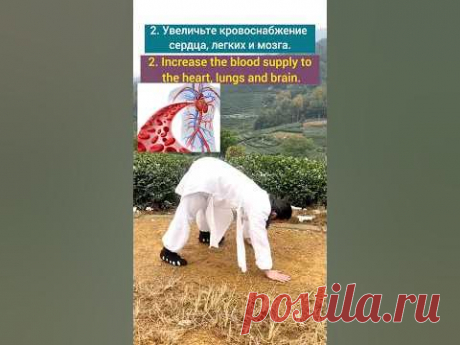 Increase the blood supply to the heart, lungs and brain