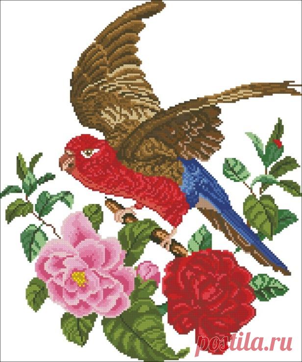 Gallery.ru / Фото #69 - Старинные схемы вышивки - biserinkaa