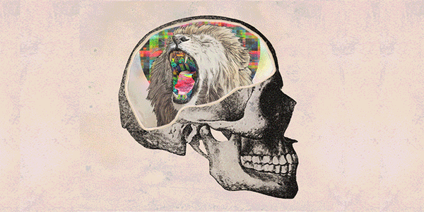 Знание этих 6 законов психологии изменит вашу жизнь — Жизнь под Лампой!