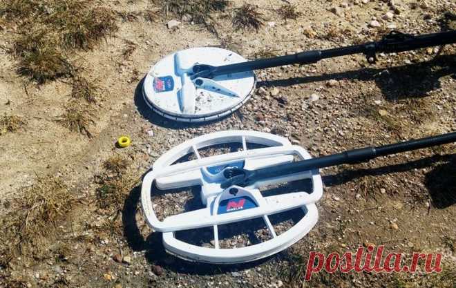 В поле с 19-дюймовой катушкой Minelab - МДРегион.ру
