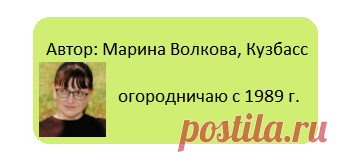 Дикари на наших клумбах: взяла у природы и посадила у себя
