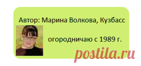 Дикари на наших клумбах: взяла у природы и посадила у себя