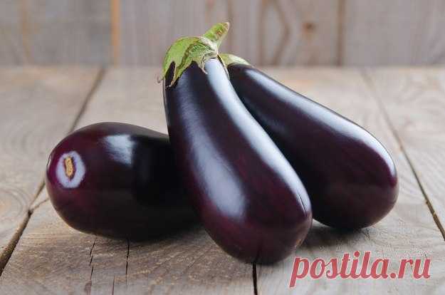 Как очень вкусно приготовить баклажаны: 7 рецептов - KitchenMag.ru